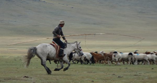 Un nomade a cavallo governa il proprio gregge di capre e pecore. Foto Paolo Moiola.